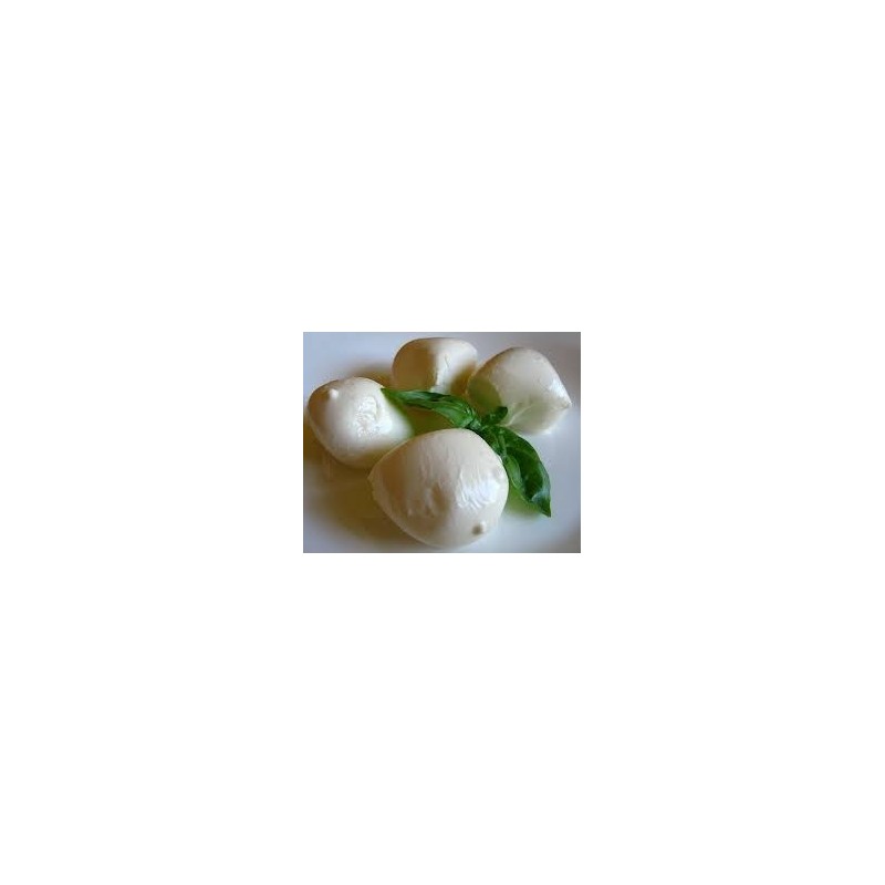 BOCCONCINI CHEESE 40X30GM BOCCONCINI CHEESE 40X30GM