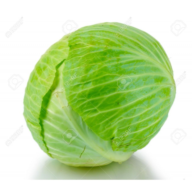 Cabbage - Green (half) Cabbage - Green (half)