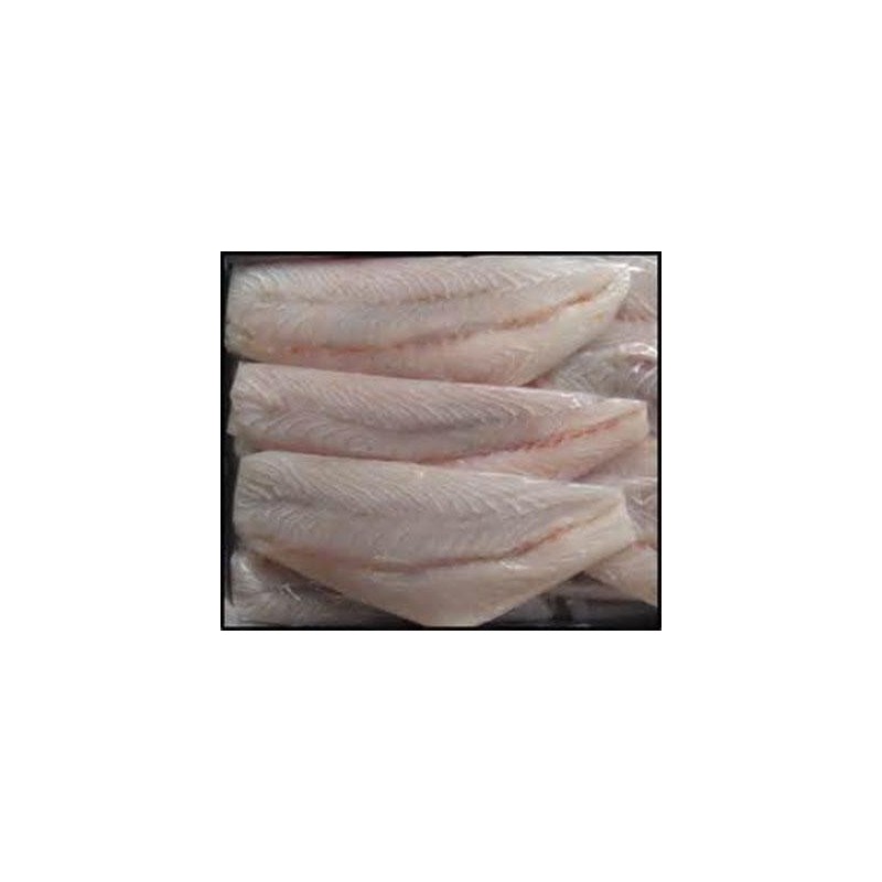 SEVEN SEAS BARRAMUNDI FILLET 200/300 5KG SEVEN SEAS BARRAMUNDI FILLET 200/300 5KG