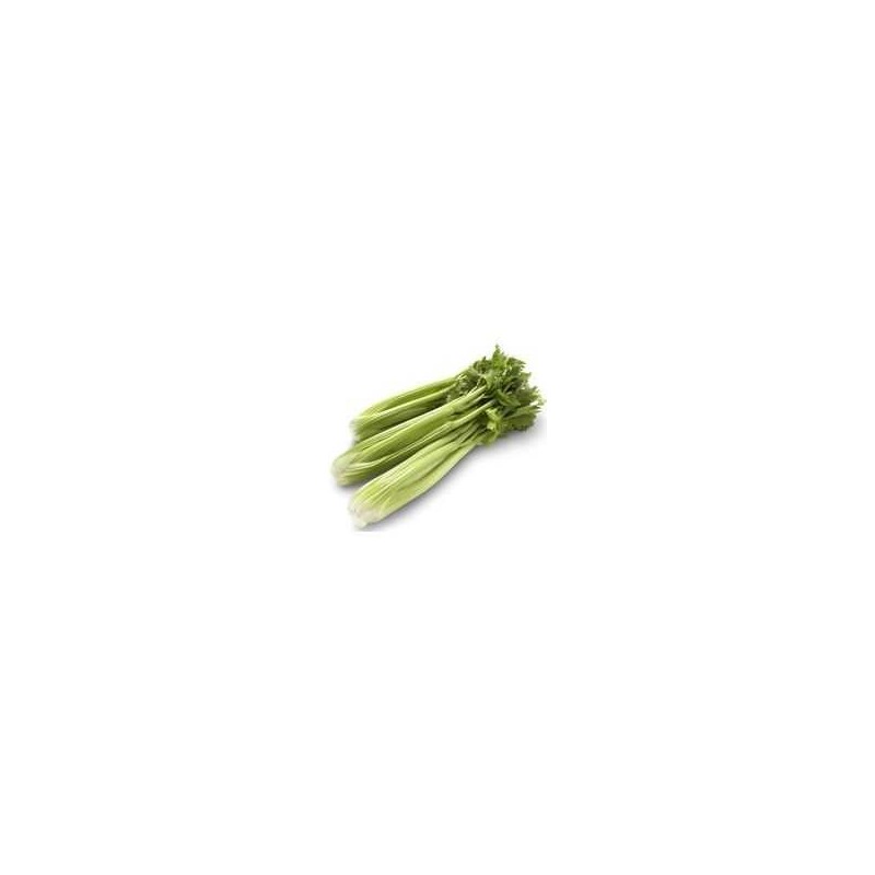 Celery (bunch) Celery (bunch)