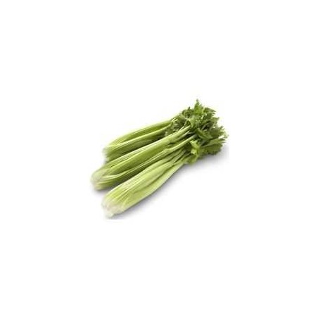 Celery (bunch)