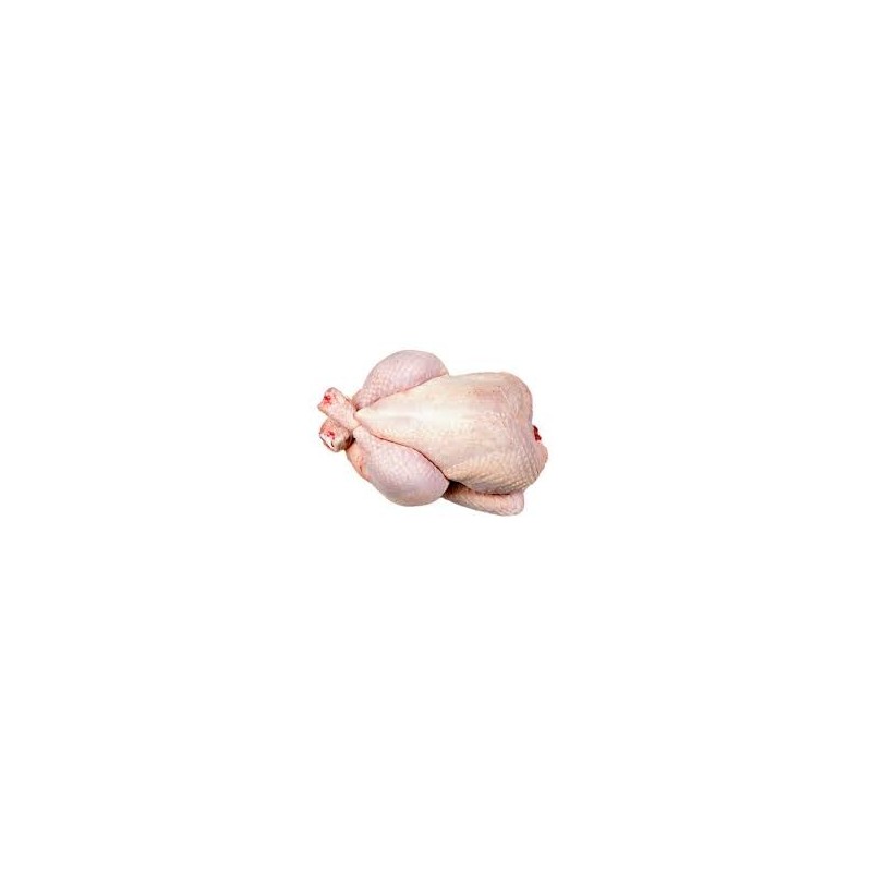 FREE RANGE WHOLE FRESH CHICKEN 1EA