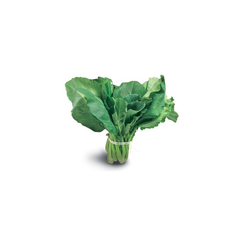 Chinese Broccoli (ea) Chinese Broccoli (ea)