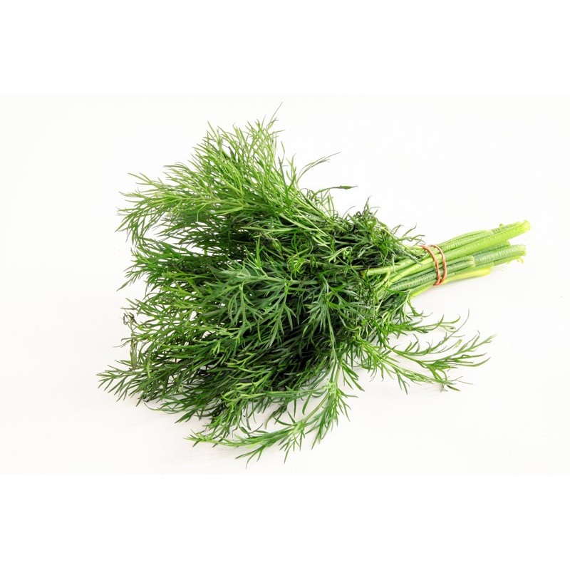 Dill (bunch) Dill (bunch)