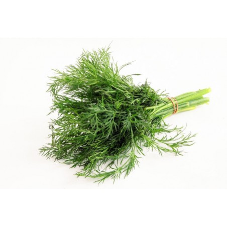 Dill (bunch)