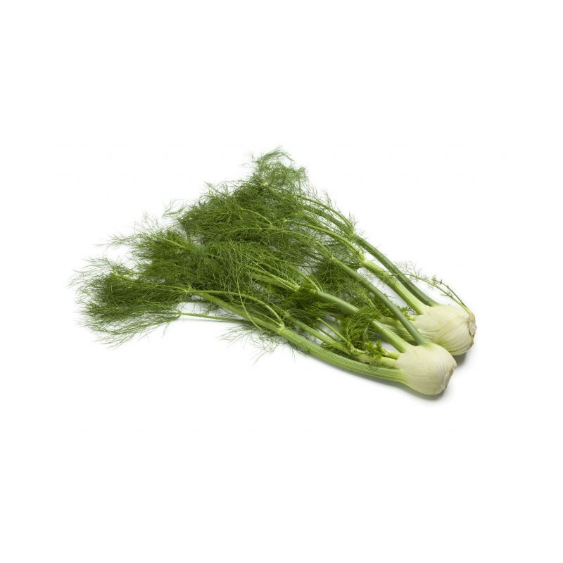 Fennel (ea) Fennel (ea)