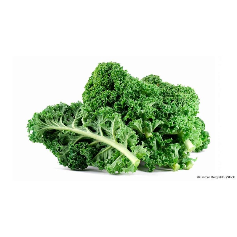 Kale - Green Kale - Green