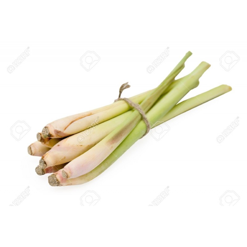 Lemongrass (stalk) Lemongrass (stalk)