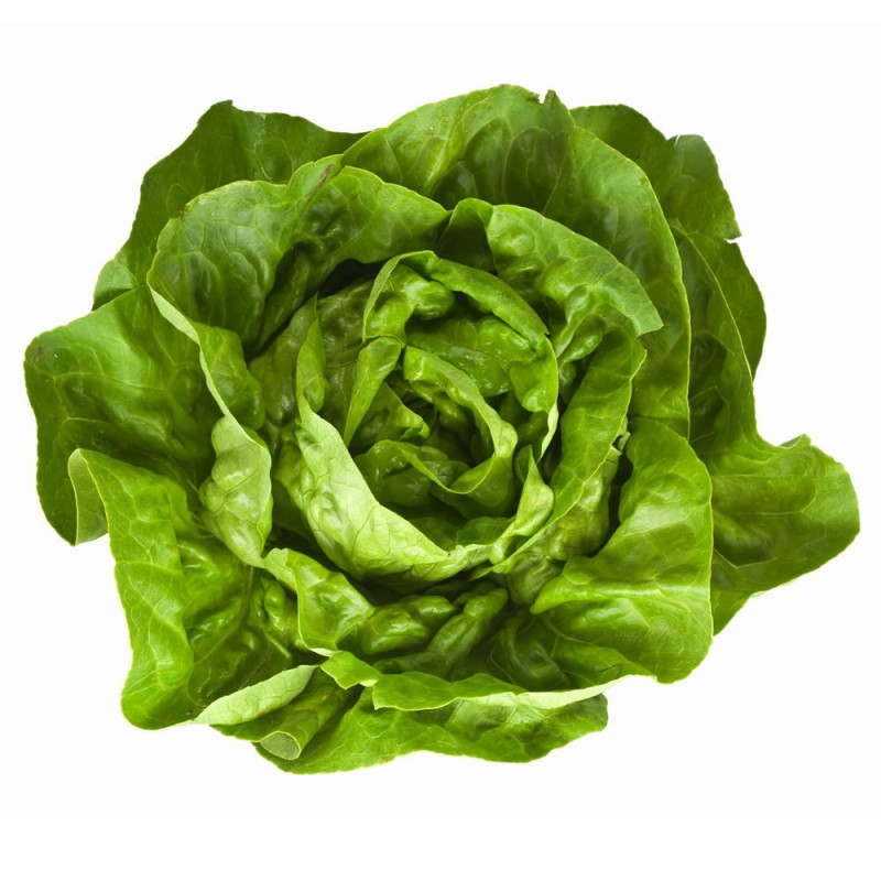 Lettuce - Butter (ea) Lettuce - Butter (ea)