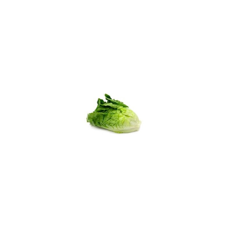 Lettuce - Cos (ea) Lettuce - Cos (ea)