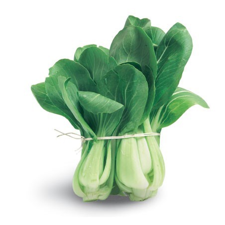 Pak Choy (bunch)