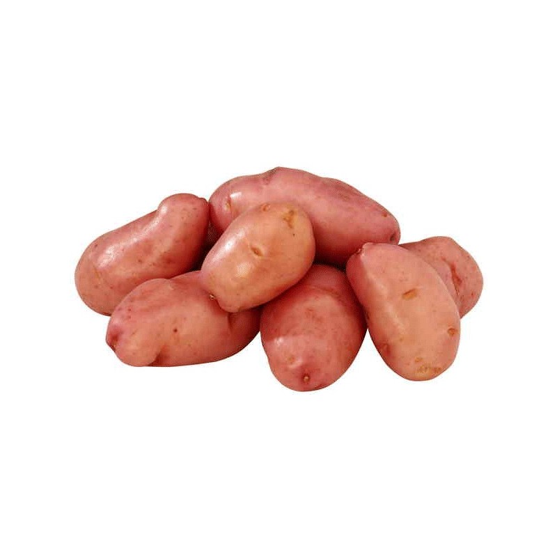 Potatoes Potatoes