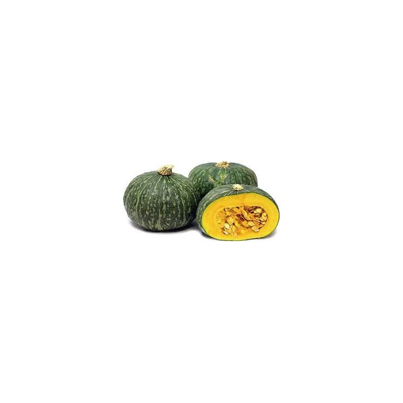 Pumpkin - Japanese (ea)