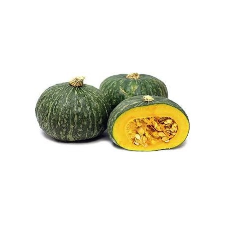Pumpkin - Japanese (ea)