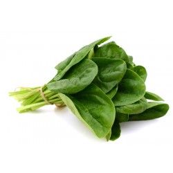 Spinach Big Leaf, Bunch