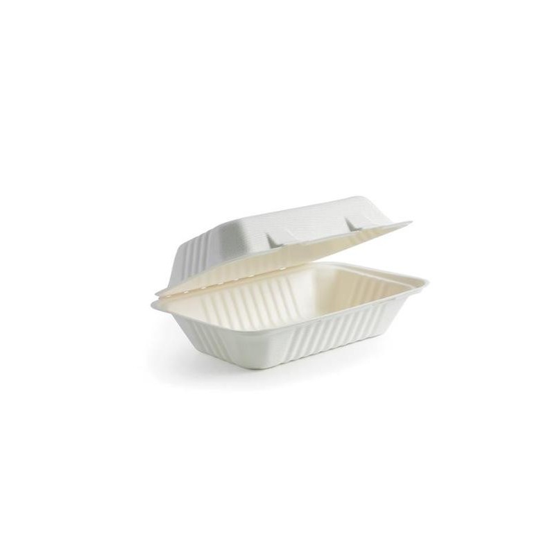 BIOCANE LUNCH BOX 9X6X3" 125'S BIOCANE LUNCH BOX 9X6X3" 125'S