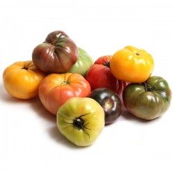HIERLOOM TOMATOES , TRAY 5KG