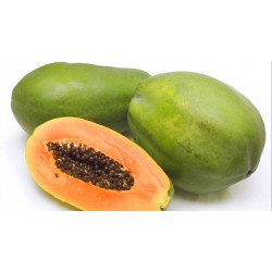 PAPAYA RED, KG
