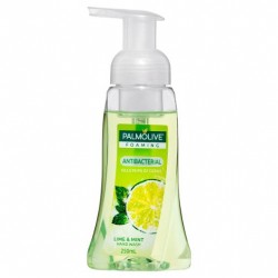 LIME FOAMING ANTI-BACTERIAL LIQUID SOAP 250ML