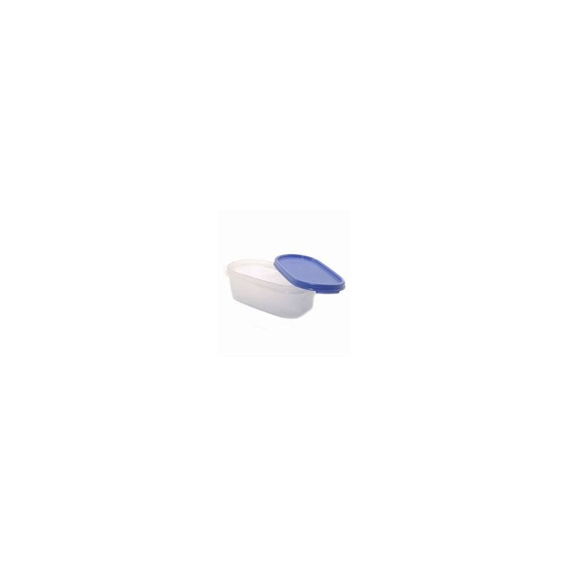 OBLONG CONTAINER WITH CLIP LID 1LT OBLONG CONTAINER WITH CLIP LID 1LT