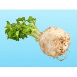 CELERIAC