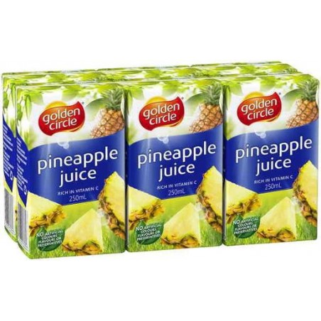 PINEAPPLE MANGO JUICE 6 PACK 250ML