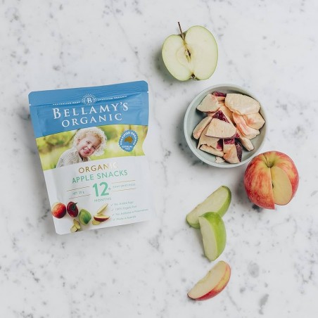 ORGANIC APPLE SNACK 12MONTHS+ 20GM
