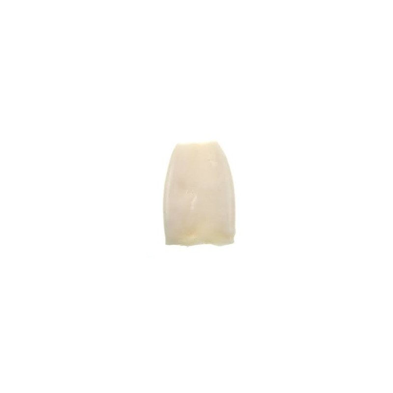 SQUID TUBES 5/10 5KG