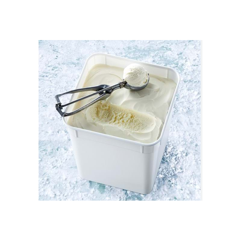 GOLD LABEL VANILLA ICE CREAM 10L GOLD LABEL VANILLA ICE CREAM 10L