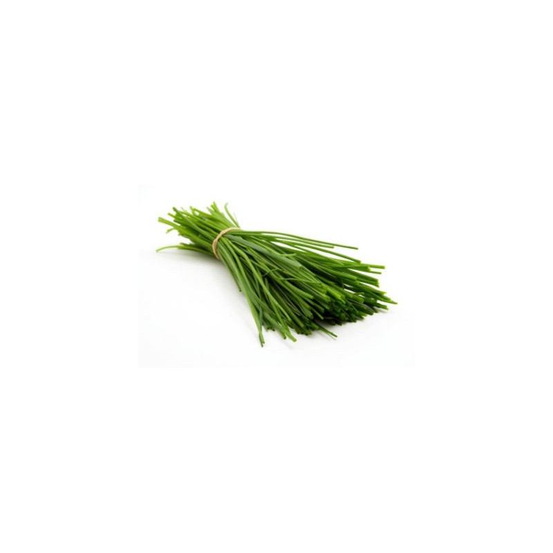 Chives (bunch)