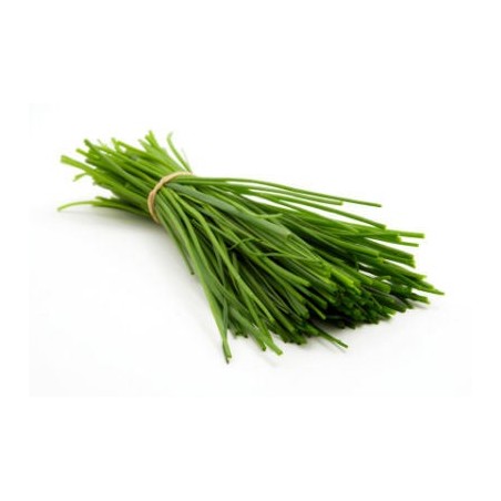 Chives (bunch)