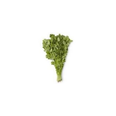 Coriander (bunch)