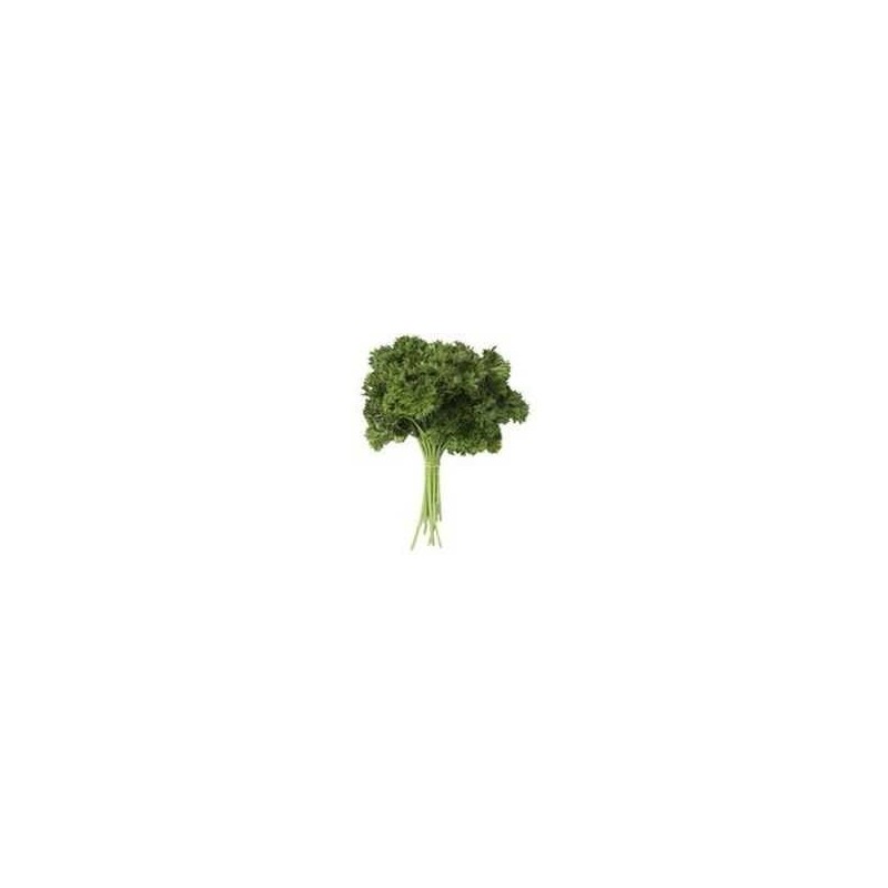 Parsley - Curly Leaf (bunch) Parsley - Curly Leaf (bunch)