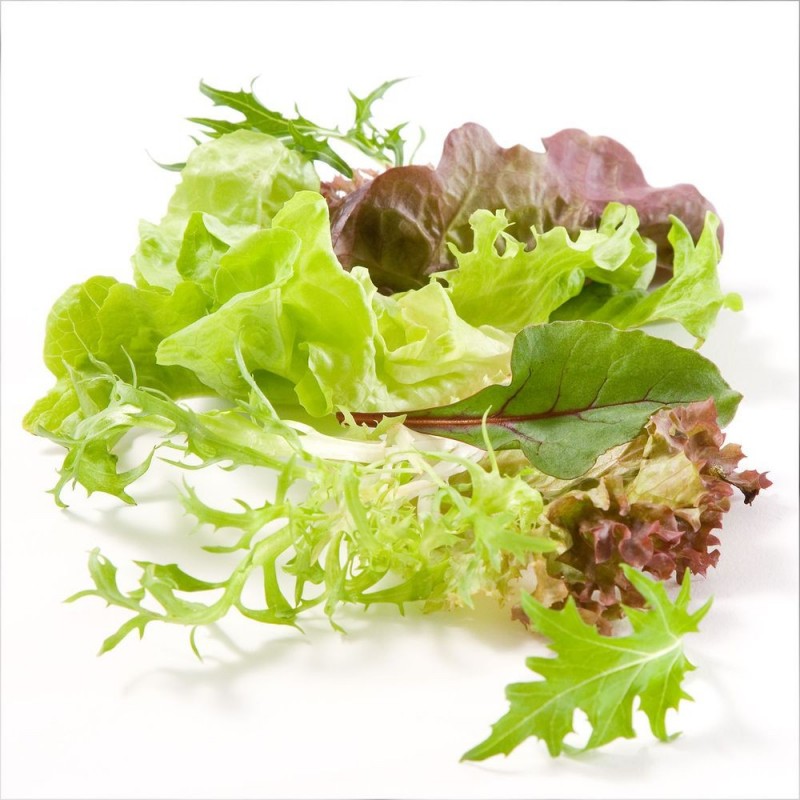 Organic - Salad Mix (100g) Organic - Salad Mix (100g)