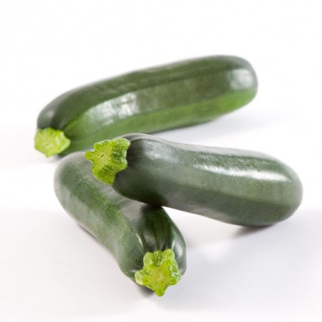 Zucchini Green, BOX 10kg