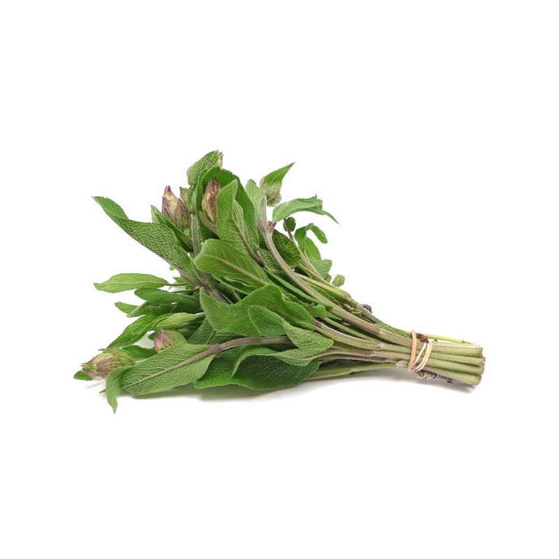 Sage, bunch