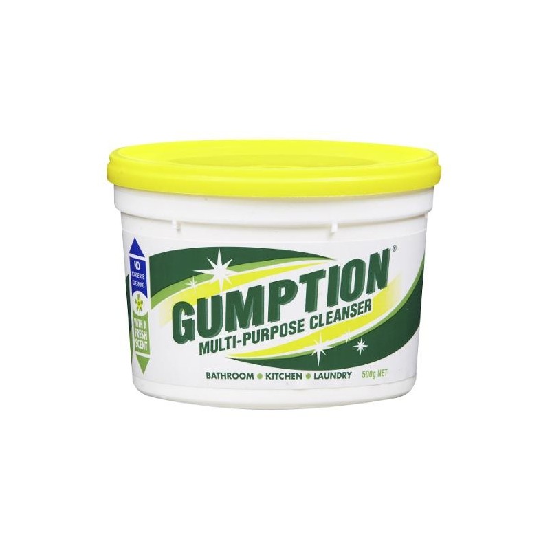 PASTE GUMPTION TUB 500G PASTE GUMPTION TUB 500G