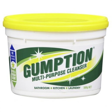 PASTE GUMPTION TUB 500G